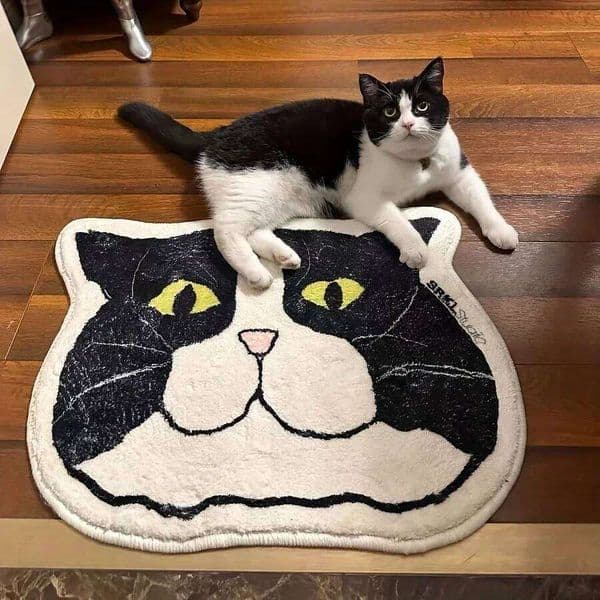 1 Piece of Cat Floor Mat Is Anti Slip, Waterproof, and Stain Resistant, Suitable for Bathroom, Bedroom, Kitchen, Home Decoration 26W0117