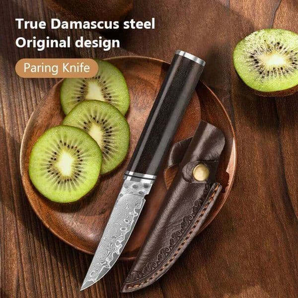 3 inch Paring Knife Sharp convenient carrying Damascus steel fruit knife, kitchen and household multi-purpose knife 26L0119