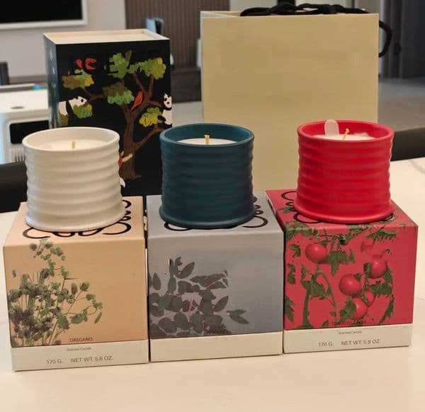 10 flavors Aromatherapy candle Tomato leaves household Indoor Fragrance decoration Oregano beetroot scented candle birthday wedding gift