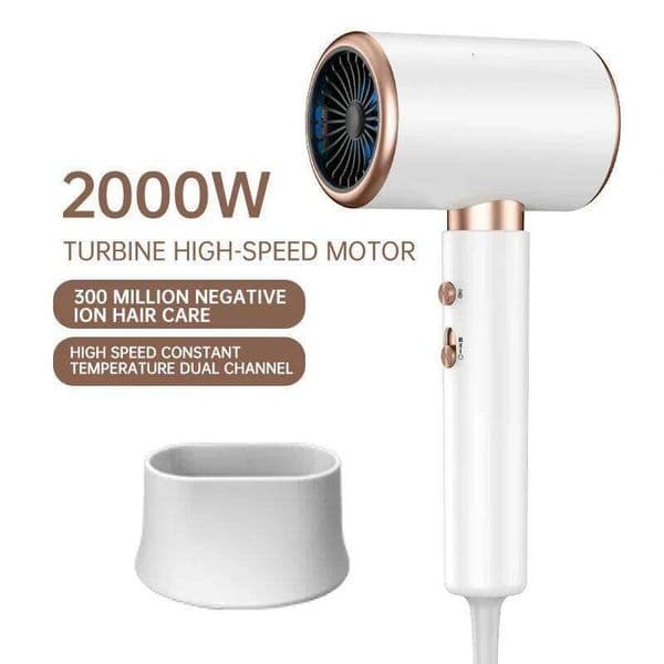 AAS 2000W 5th Gear Professional Hair Negative Lonic Blow Dryer Hot Cold Wind Air Brush Hairdryer Strong PowerDryer Salon Tool 26W01123