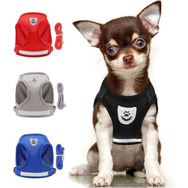 Pet Dog Harness and Leash Set Puppy Chest Strap Reflective for Small Medium Dogs Cat Harnesses Vest Pug Chihuahua Bulldog 26W01123