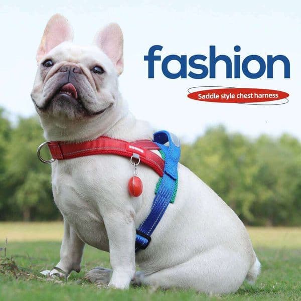 Pet Chest Wide Webbing Two-Color Contrasting Four Seadon Harness Nylon Handle Outdoor Dog Walking Reflective 26W01123