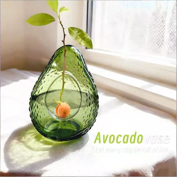 Avocado Seed Starter Vase Transparent Glass For Growing Plant Kit Gardening Lovers 260127