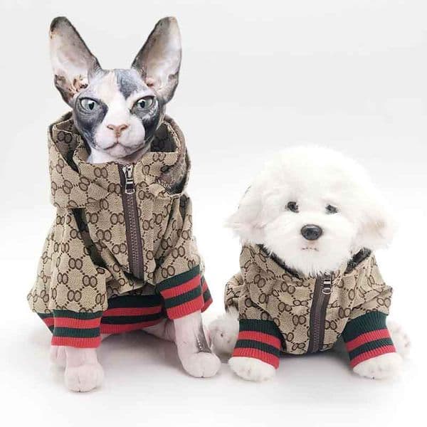 2026 New Designer Clothes Classic perfume Letter Pattern Dog Apparel Exclusive Luxury Pet Hoodie Sweatshirt Coat For Small Medium Dogs Bulldog Corgi Boston co