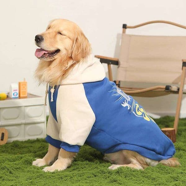 HOOPET Clothes Fall Models Labrador Dogs Border Collie Pet Clothing Spring and Large Dog Sweater Winter 26W01128