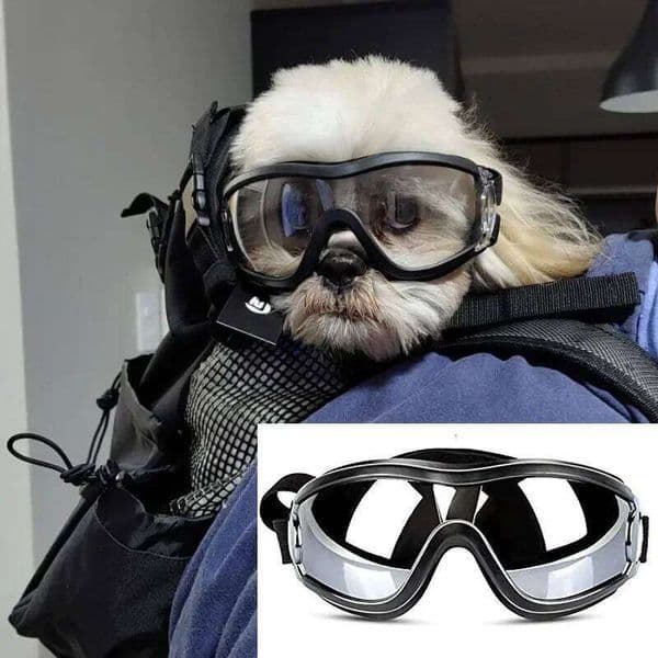 Sunglasses Adjustable Strap Travel Skiing and Anti-Fog Snow Pet Goggles for Medium to Large Dog 26W01129
