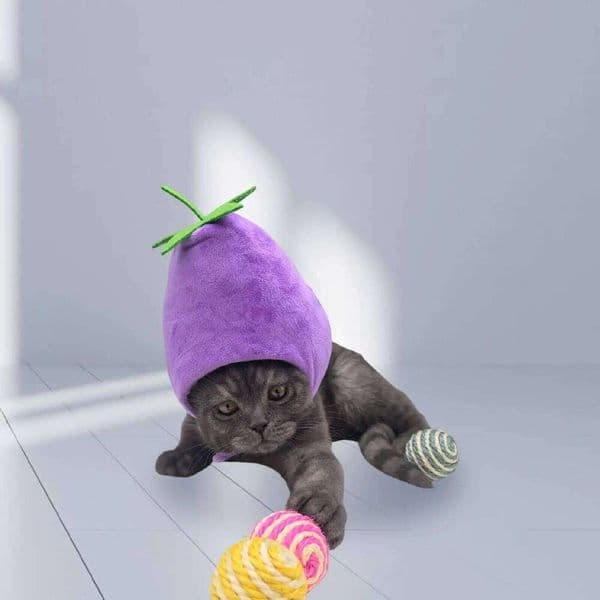Soft Velvet Cat Puppy Hat Dogs Headgear Cap for Winter Holiday Party Camping Hiking Festive Wear 26H0129