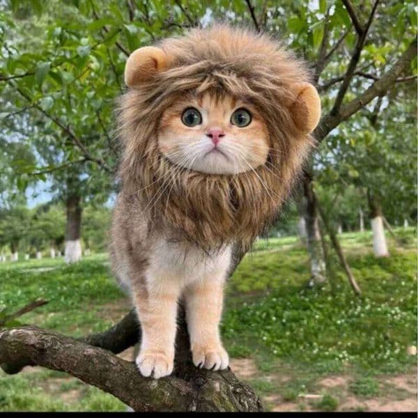 Halloween Lion Transforms Into Ghost Festival Pet Hat Adjustable Dog Supplies Cat Clothing Autumn Winter Kawaii Gift 26H0129