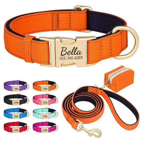 Personalized Collar Leash Colorful Dog Collars Durable Nylon Pet Buckle Necklace With Leashes Poop Bag Soft for Dogs Pug 26Y0302