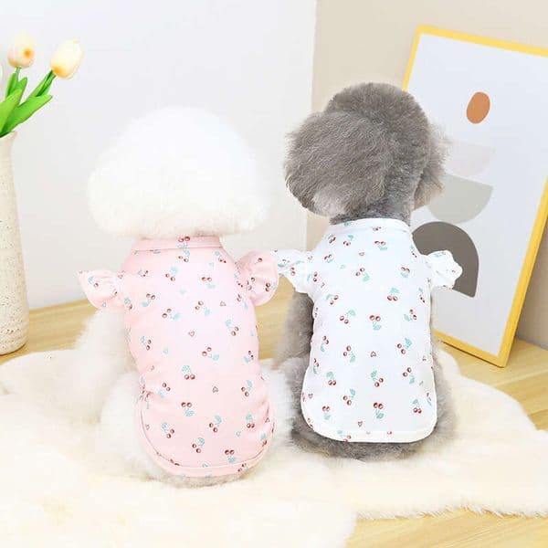 Apparel Lace T-Shirt For Small And Medium Dogs Teddy Pet Puppy Clothes Pomeranian Short Sleeve Breathable Comfortable Bamubi