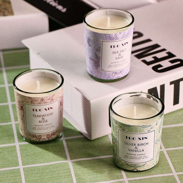 Indoor Deodorizing Plant Scented Candle Factory Supply Glass Cup Smokeless Fragrance Soy Wax DIY Gift W260304