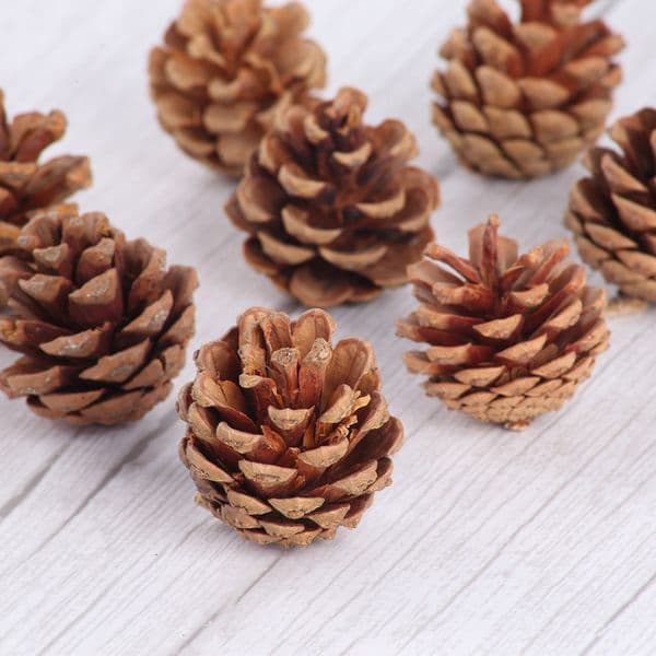 2026 New Dried Flower Decoration Handmade DIY Material Kit Wreath Accessories Natural Christmas Pine Cone Wholesale Designer