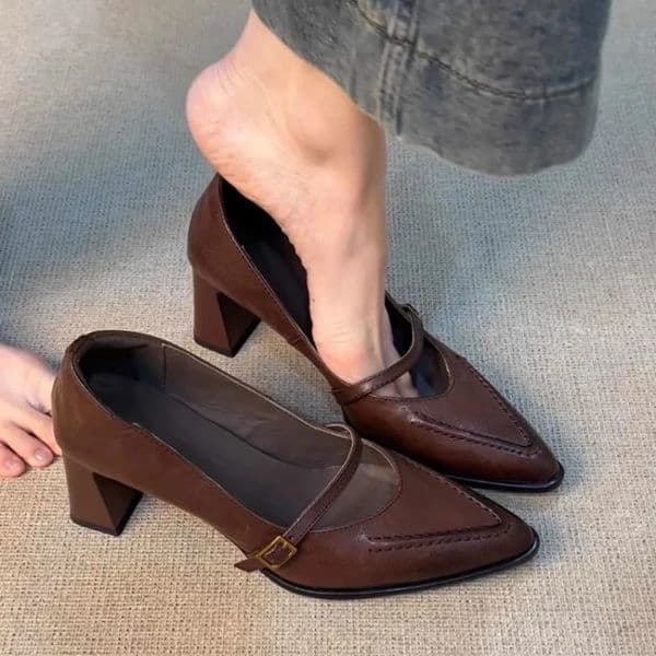 Vintage Spring Thick Heel Women Mary Jane Shoes Shallow Buckle Strap Shoes Ladies Elegant Pointed Toe Dancing Party Pumps 260303