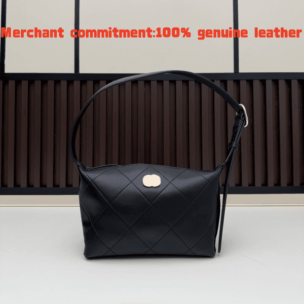 Luxury Designer bags Womens hobo bag mens crossbody bag high quality tote bag Shoulder Bag leather Clutch Bags fashion bag cosmetic Evening Bags quilted bag