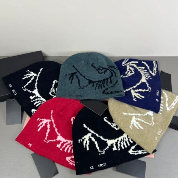designer wool luxury cashmere hat embroidered ancient bird pattern street fashion brand beanie autumn and winter warm ski hats 5A
