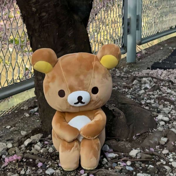 Lovely Anime Rilakkuma Plush collection Teddy Peluche Bear Stuffed Doll Kawaii Room Decor Soft Birthday Gifts Xmas Present H260305