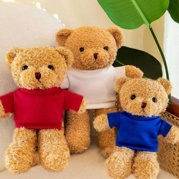 30cm Cute Wearing Sweater with Soft Teddy Bear Plush Toy Adorable Stuffed Animal W260306