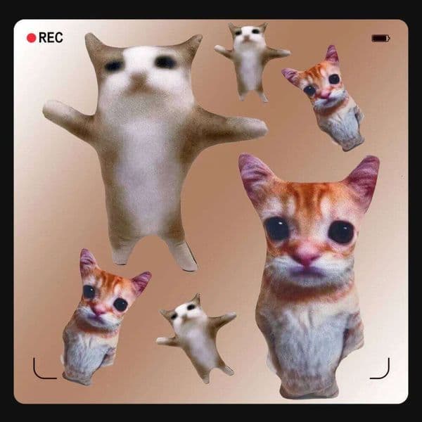 Cute El Gato Plush Wowwow Cat Doll Plushies Simulation Stuffed Animals Birthday Xmas Gift Kid Collectible Toy Home Decor W260306