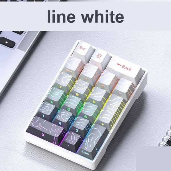 F20 20 Keys Pad Mechanical Numeric Mini Keyboard RGB For Numpad Gaming Accountant Laptop External Portable Financial Office H260313