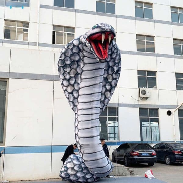 wholesale Decorative Cobra Inflatable Serpent 6m Giant Snake Inflate Naja Black Elapoid for Park/Advertisemen Ask about the price