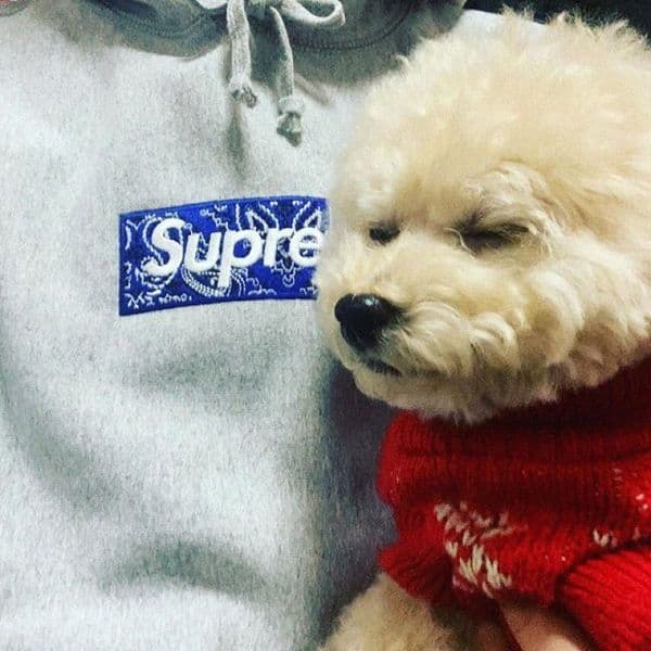 designer Hoodies Classics Red Letter S Printed Fashionable Sportswear Hip Hop Loose Casual Men's Hooded Sweatshirt Collaboration m7Tx#