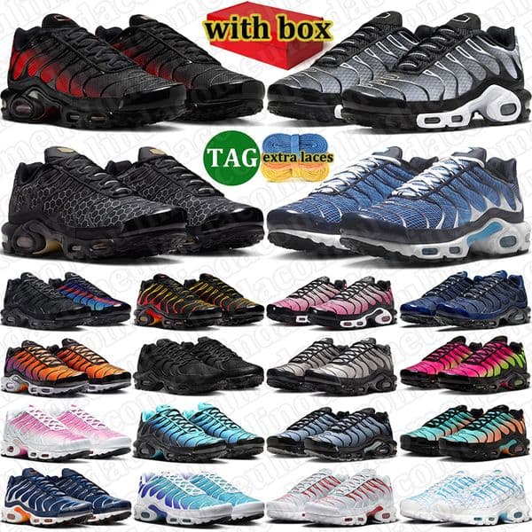 with box tn tns plus men women running shoes designer sneakers outdoor comfortable runner breathable trainers sports shoe black white red grey Midnight