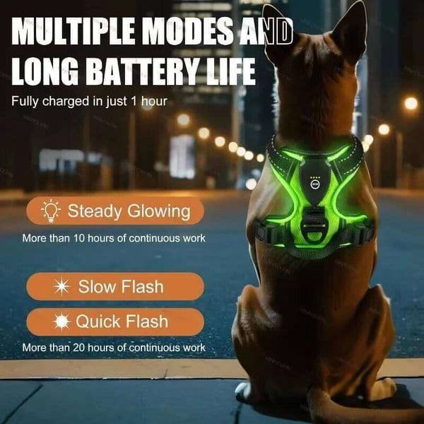 Glowing Luminous Harnesses Essential for Walking Safety At Night Dog Vest with Three LED Light Modes Rechargeable 26W0316