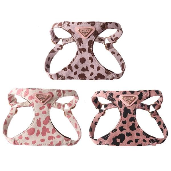 New Cow Pattern Triangle Nameplate Harness Set Double Hook Leash for Small and Medium Dogs Vest