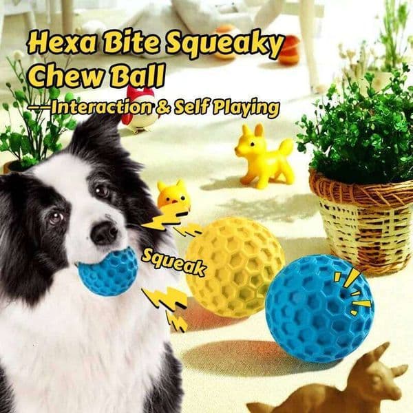 Hexa Bite Squeaky Chew Interactive Dog Toys Ball Honeycomb Dental Cleaning Texture with Squeak & Bounce for Puppy Playtime 26W0317