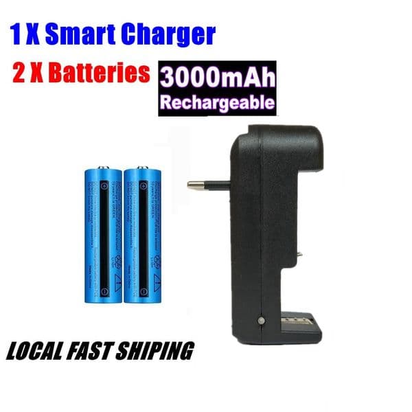 3000mAh 3.7V Rechargeable Li-ion Battery for Torch Headlamp + European Charger