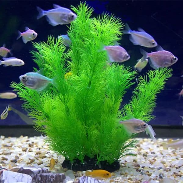 2Pcs/Set Artificial Aquarium Decor Plants Underwater Water Grass Aquatic Plastic Plants For Fish Tank Aquarium Decorations 19/30CM