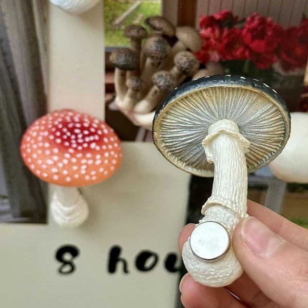 3D Simulated Mushroom Refrigerator Magnets Creative Resin Mushroom Fridge Magnets Decor Photo Message Magnet Magnetic Sticker L260318