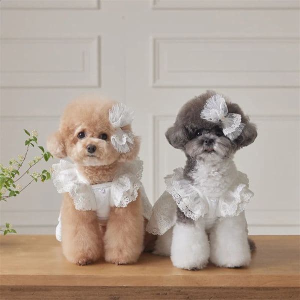 Pet Lace Flying Sleeve Dress Cat Top Spring Lace Princess Dress Small Dog Dresses for Small Dogs Puppy Clothes 260318