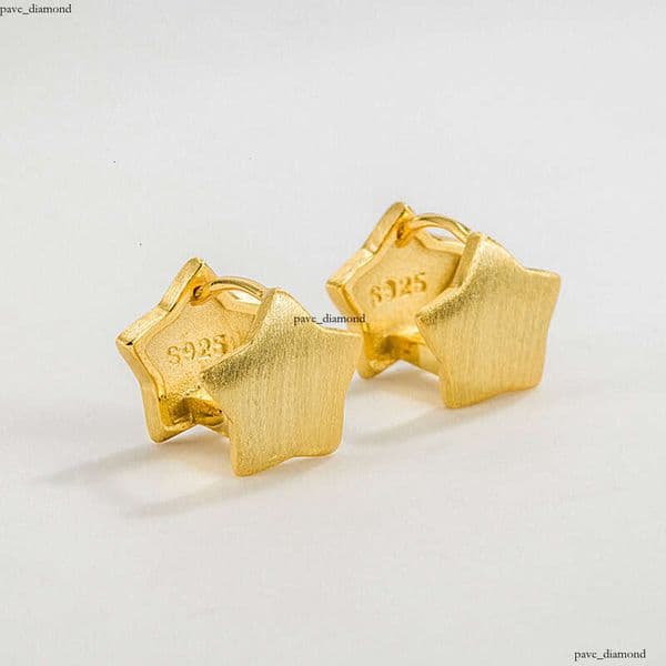 Korean INS niche design S925 sterling silver five-pointed brushed earrings fashionable commuter star earrings for women