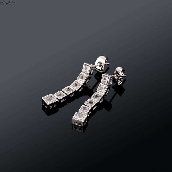 Elegant design square diamond tassel with S925 silver pins unique versatile niche earrings for autumn and winter