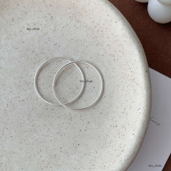 Jewelry INS trendy 925 sterling silver exaggerated circle hollow tube earrings light luxury style Korean hoop earrings for women