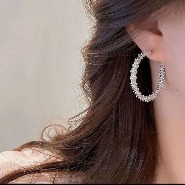 Instagram niche design ultra-shiny silver earrings for women, light luxury versatile fashion high-end earrings, minimalist style ear accessories