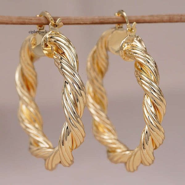 foreign trade earrings for women twisted braided spiral design trendy high-end style super popular on Instagram