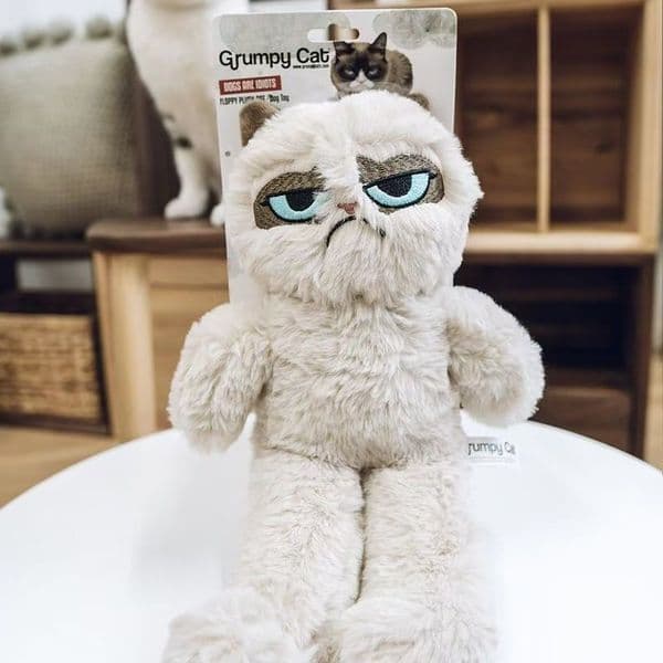 Unhappy cat plush toy doll funny smelly face cat doll sleeping doll birthday gift men and women