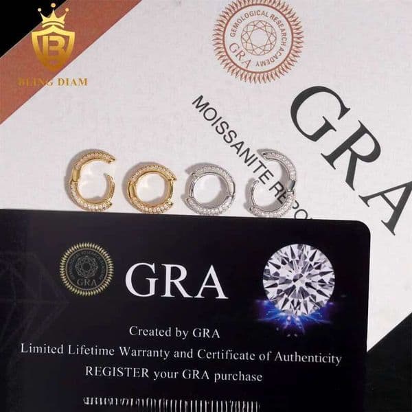 Pass Diamond Tester Stud Gold Plated 925 Sterling Silver Hoop Moissanite Men Women Earrings
