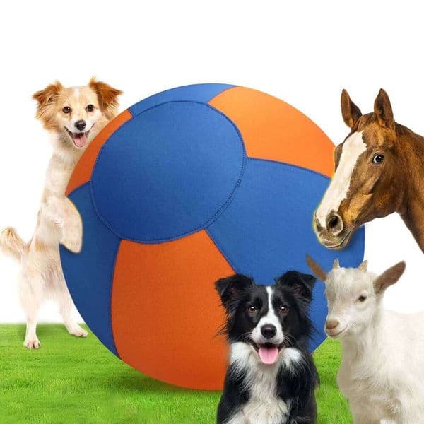 Giant Toy Large Pet Outdoor Training Supplies Children's Interactive Game Toys Interest Play Balls Dog Like Colors Ball