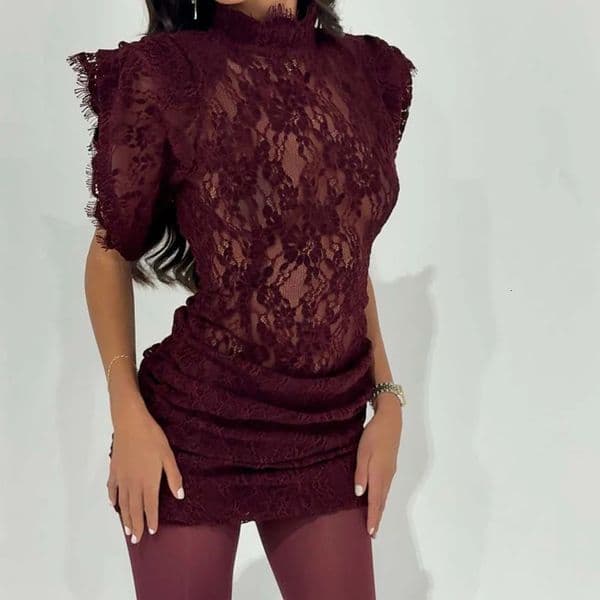 Elegant Lace Embroidery Mesh Short Dress Fashion Half High Collar Solid Mini Womens Casual Sleeveless Draped Party 260324
