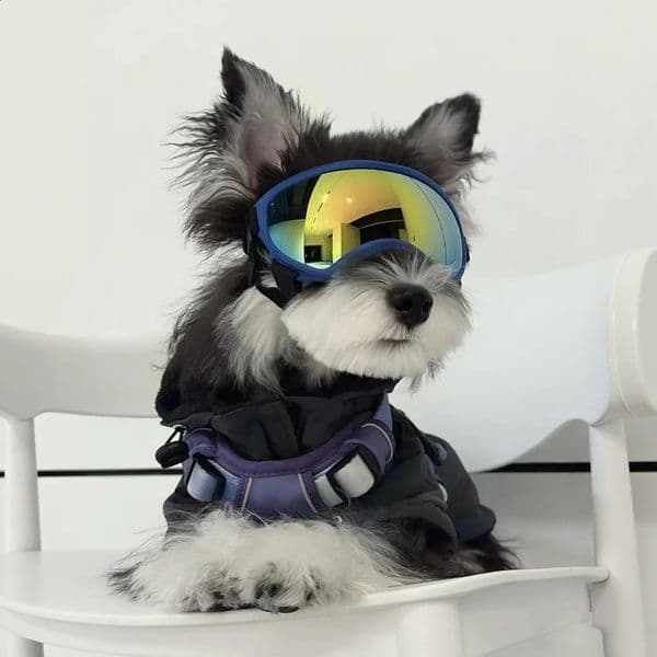 Dog Sunglasses Dog Goggles UV Protection Pet Glasses Eyewear with Adjustable StrapGlasses for Dog Skating Glasses Dustproof 260320