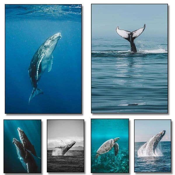 Sea Creatures Giant Whale Sharks Turtle Art Posters Animal Canvas Painting Nordic Murals Living and Room Decor Unframed 26Y0325