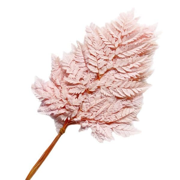 Pink Blossom Immortal Flowers for Weddings & Holiday Decorations