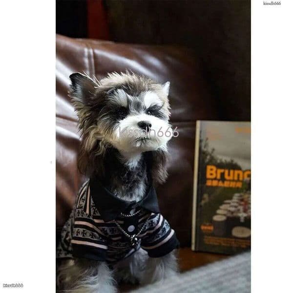 Spring/Summer Striped Bottom T-shirt Fashion Front Short Sleeve T-shirt Fashion 2026 New Dog Clothing