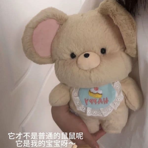 Lele doll cute little plush toy doll to accompany sleeping hamster birthday gift for girls Z260528