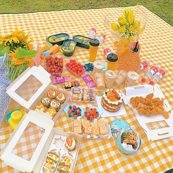 Outdoor Picnic Mat Waterproof Moisture-Proof Camping Ground Mat Thickened Picnic Blanket for Outdoor Activities and Grass Land H2603271