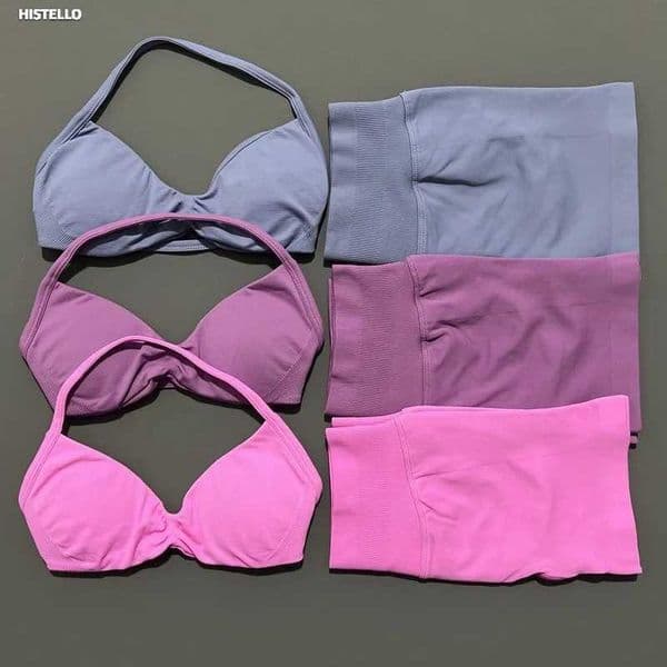 HISLO Gym Set 2 Piece Women Spy Bra Top Workout Scrun Shorts Sports Suit othes Seamless Set L260528