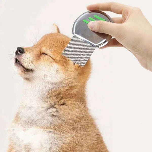 Stainless Steel Dogs and Head Lice Nit Flea Combs for dog cat Threaded Comb Grooming